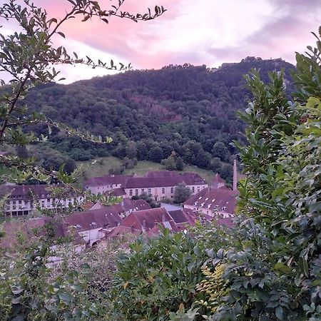Le Coeur De Sel Lejlighed Salins-les-Bains Eksteriør billede