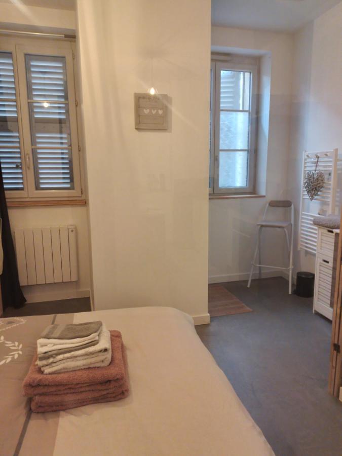 Le Coeur De Sel Lejlighed Salins-les-Bains Eksteriør billede